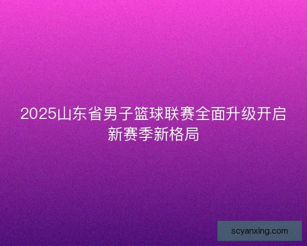 2025山东省男子篮球联赛全面升级开启新赛季新格局