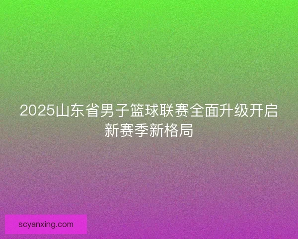 2025山东省男子篮球联赛全面升级开启新赛季新格局